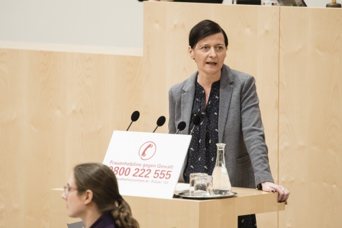 Am Rednerpult: Nationalratsabgeordnete Sabine Schatz (S)