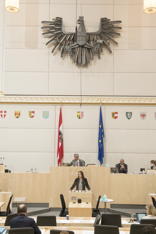 Am Rednerpult: Nationalratsabgeordnete Bettina Zopf (V)