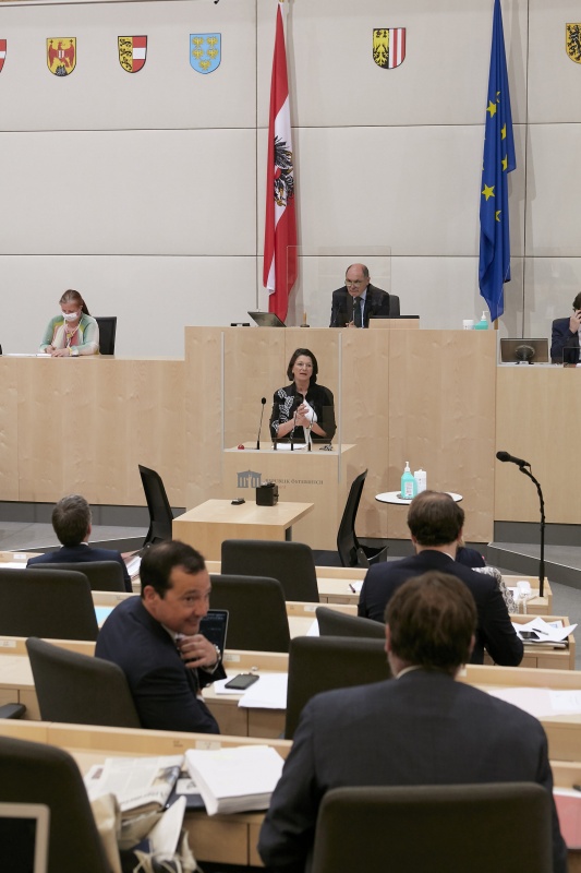 Am Rednerpult Nationalratsabgeordnete Maria Smodics-Neumann (V)