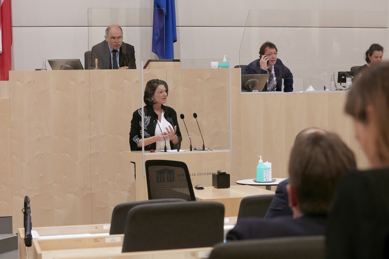 Am Rednerpult Nationalratsabgeordnete Maria Smodics-Neumann (V)