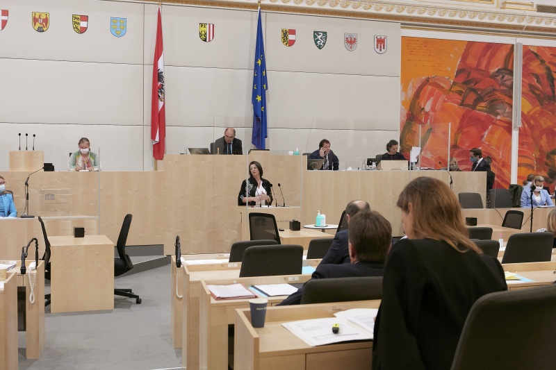 Am Rednerpult Nationalratsabgeordnete Maria Smodics-Neumann (V)