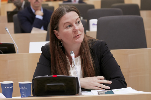 Nationalratsabgeordnete Karin Doppelbauer (N)