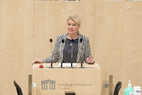 Am Rednerpult: Nationalratsabgeordnete Irene Neumann-Hartberger (V)