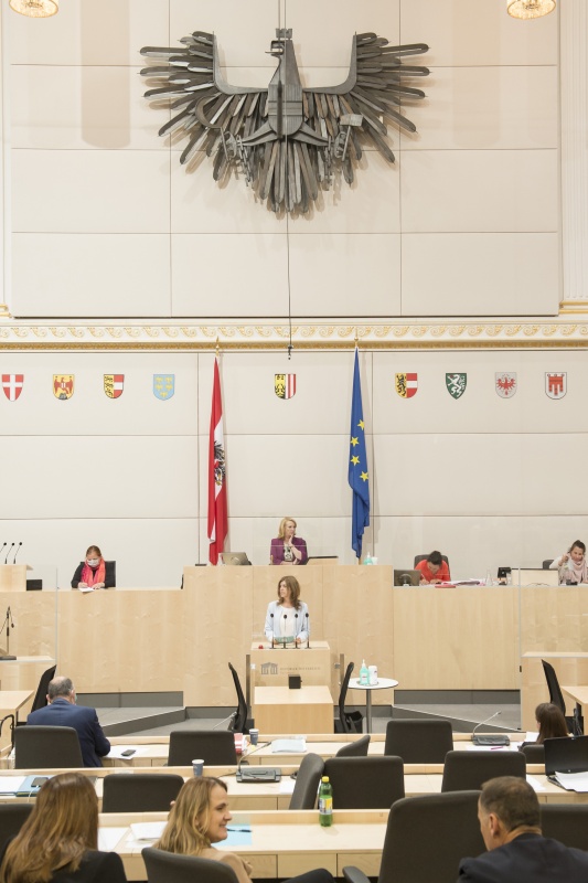 Am Rednerpult: Nationalratsabgeordnete Angela Baumgartner (V). Am Präsidium: Zweite Nationalratspräsidentin Doris Bures (S)