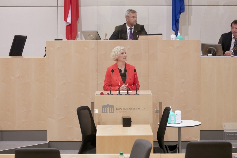 Am Rednerpult Nationalratsabgeordnete Karin Greiner (S)