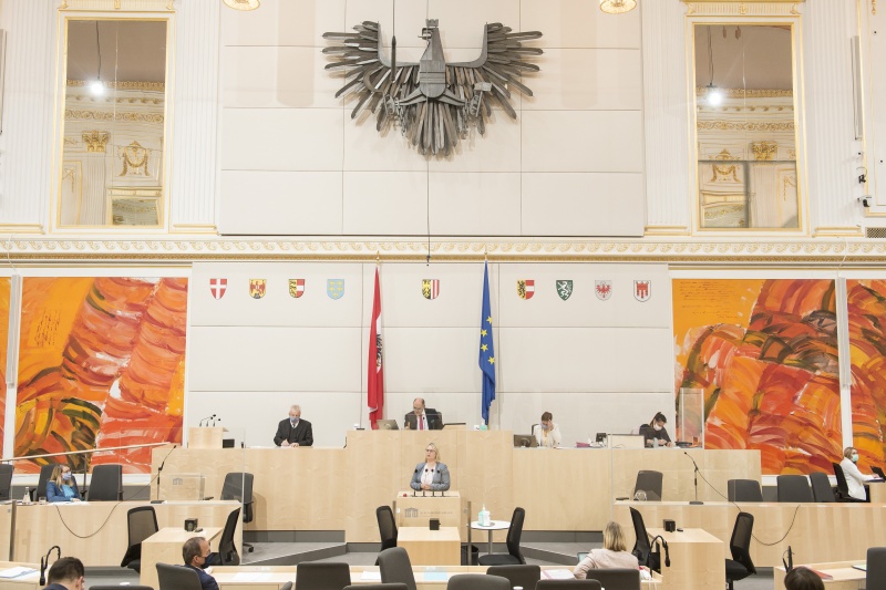 Am Rednerpult: Nationalratsabgeordnete Martina Kaufmann (V)