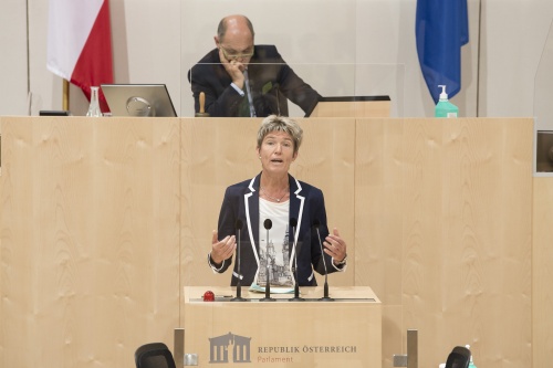 Am Rednerpult: Nationalratsabgeordnete Martina Diesner-Wais  (V)