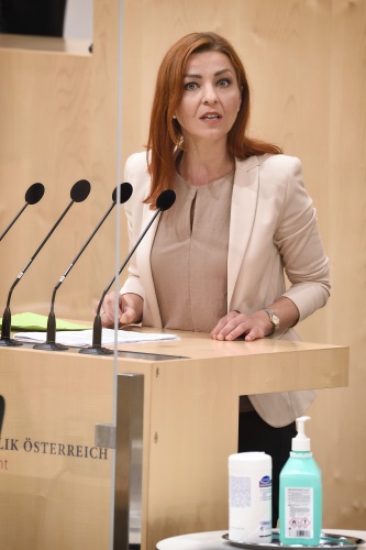 Nationalratsabgeordnete Ewa Ernst-Dziedzic (G)