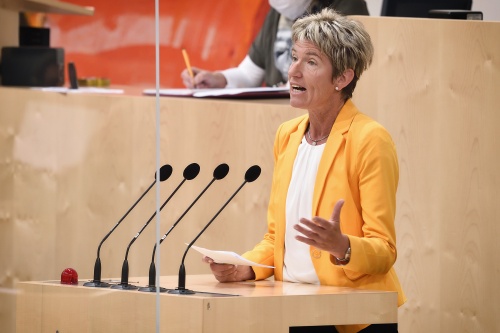 Nationalratsabgeordnete Martina Diesner-Wais  (V)