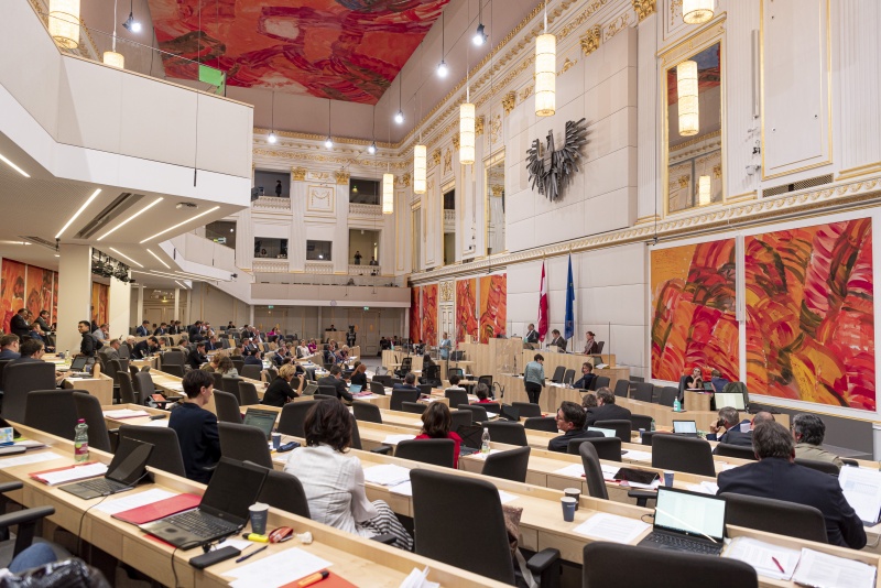 Rede von Bundesministerin für Arbeit, Familie und Jugend Christine Aschbacher (V). Blick Richtung SitzungsteilnehmerInnen