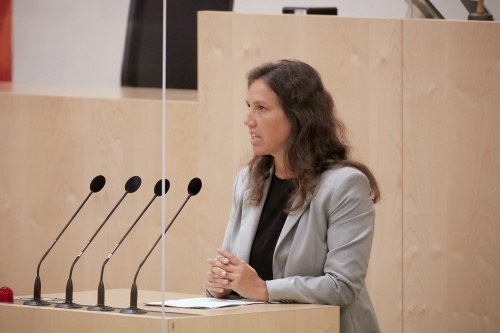 Am Rednerpult Nationalratsabgeordnete Ulrike Fischer (G)