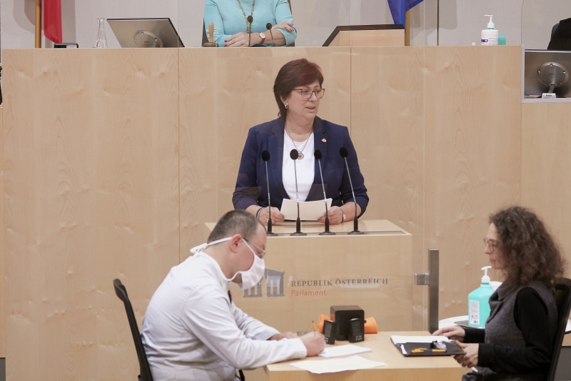Am Rednerpult Nationalratsabgeordnete Rosa Ecker (F)