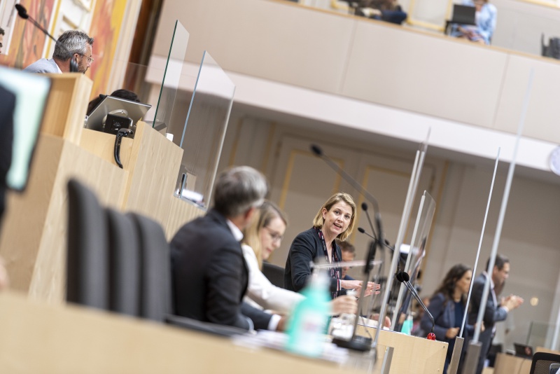 Klubobfrau Beate Meinl-Reisinger (N) bei der Begründung der Anfrage am Rednerpult