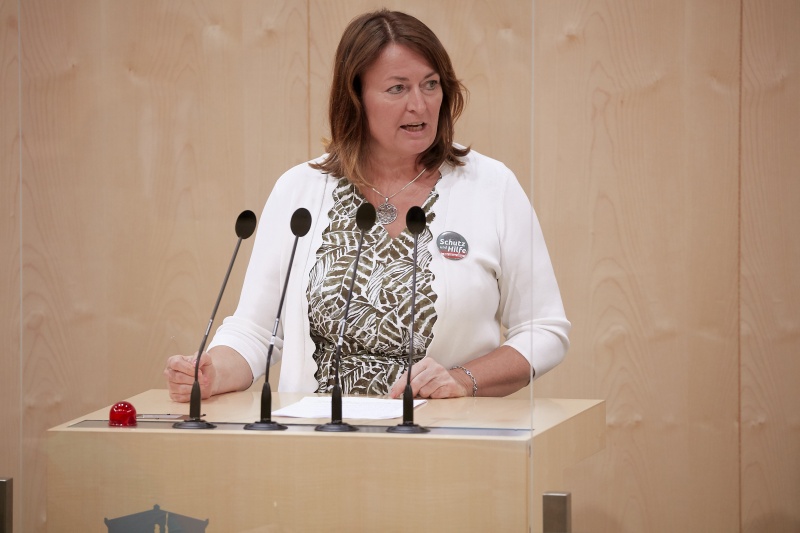 Am Rednerpult Nationalratsabgeordnete Petra Wimmer (S)