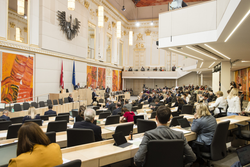 Blick Richtung SitzungsteilnehmerInnen