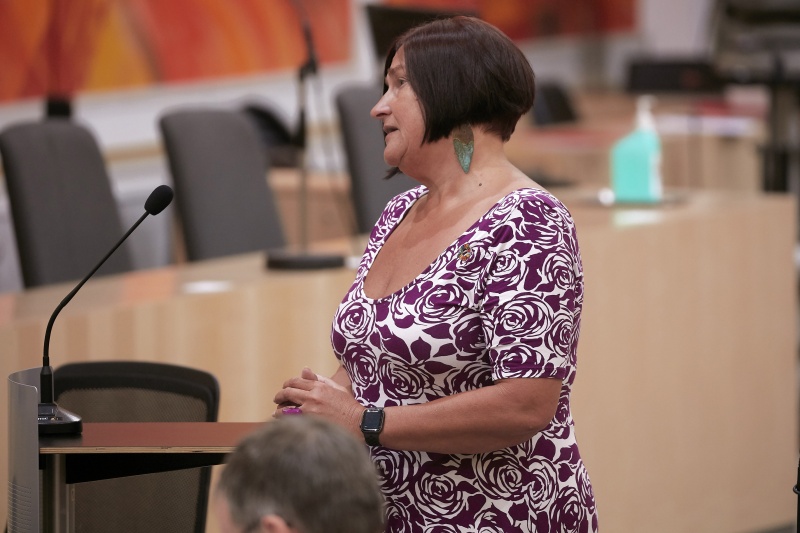 Frage Nationalratsabgeordnete Petra Bayr (S)