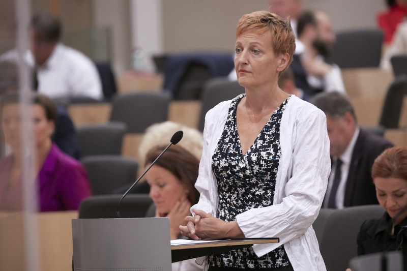 Frage Nationalratsabgeordnete Sibylle Hamann (G)