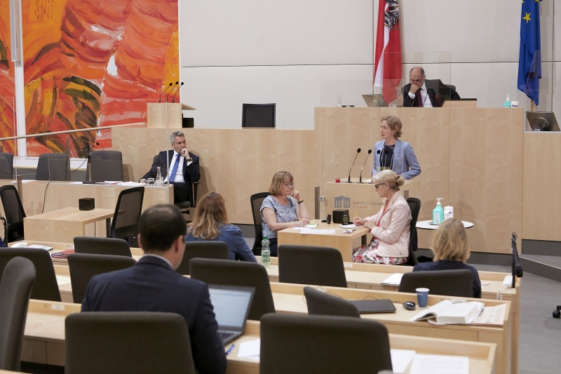 Am Rednerpult Nationalratsabgeordnete Stefanie Krisper (N)